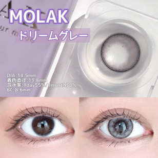 MOLAK 1day Dream Gray モラクワンデー ドリームグレー